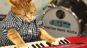 Featured Image Keyboard Cat is back!