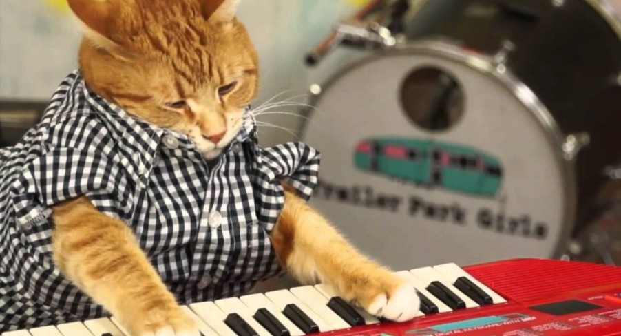 Featured Image Keyboard Cat is back!