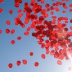 Previous Post 99 Red Balloons With Balloons