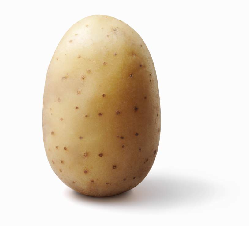 Potatoe on white background